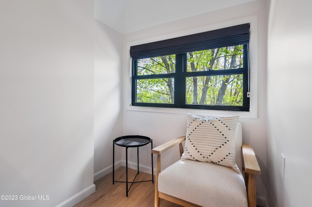 1 Wawayanda Pl, Middletown, NY 10940 - living area with plenty of natural light and wood finished floors