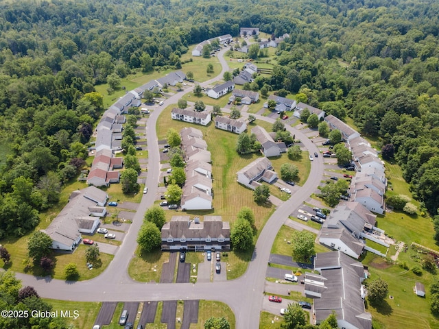 24 Esplande St, Bethlehem, NY 12158 - aerial view of residential area with a heavily wooded area