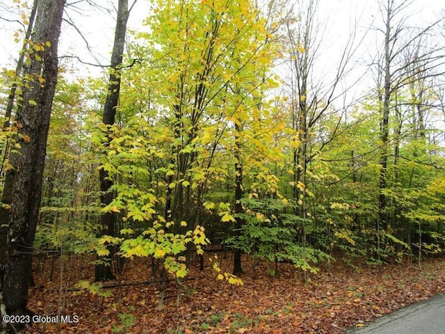 L11 Peraglie Rd, Jefferson, NY 12093 - photo 17
