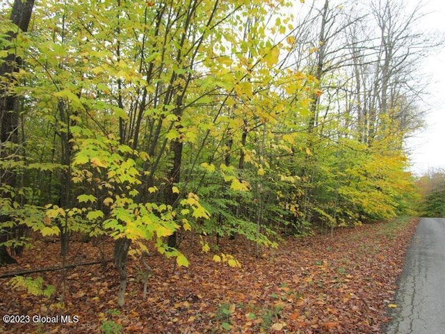 L11 Peraglie Rd, Jefferson, NY 12093 - photo 7