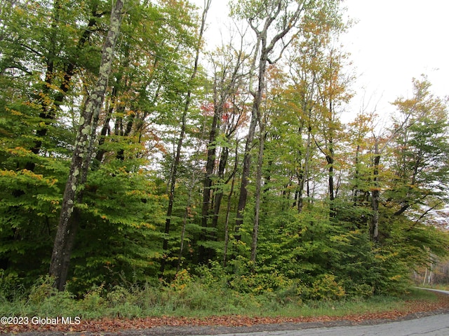 L11 Peraglie Rd, Jefferson, NY 12093 - photo 9