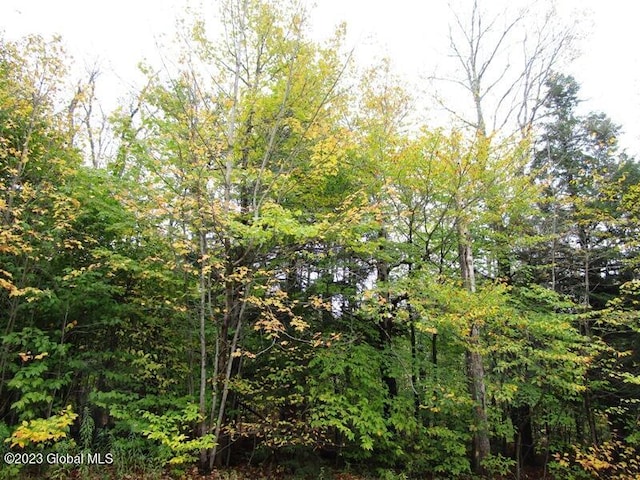 L11 Peraglie Rd, Jefferson, NY 12093 - photo 11