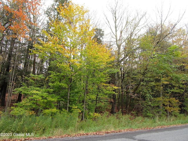 L11 Peraglie Rd, Jefferson, NY 12093 - photo 13