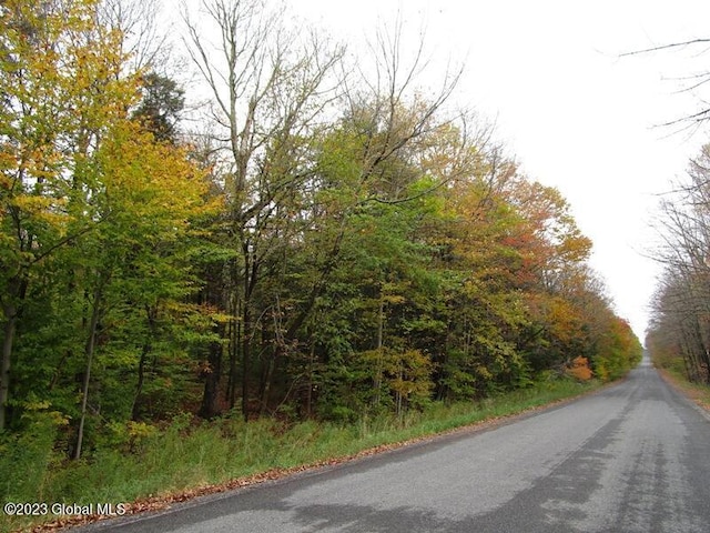 L11 Peraglie Rd, Jefferson, NY 12093 - photo 14