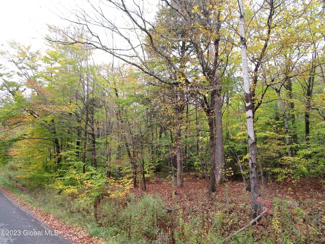 L11 Peraglie Rd, Jefferson, NY 12093 - photo 15