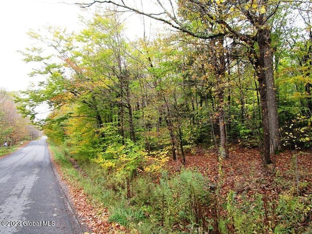 L11 Peraglie Rd, Jefferson, NY 12093 - photo 16