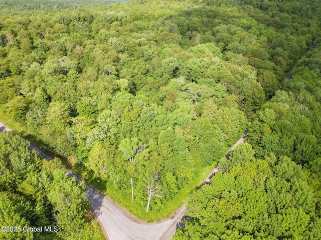 L11 Peraglie Rd, Jefferson, NY 12093 - photo 4