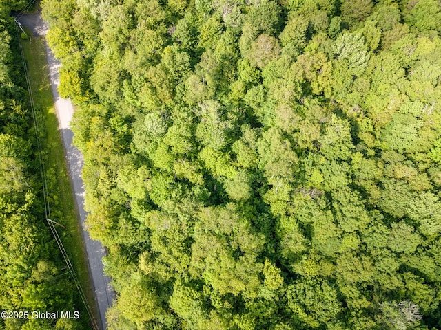 L11 Peraglie Rd, Jefferson, NY 12093 - photo 5
