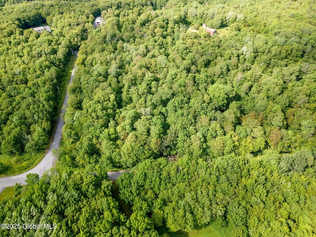 L11 Peraglie Rd, Jefferson, NY 12093 - photo 6