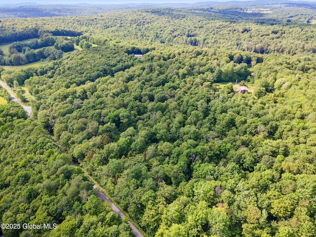 L11 Peraglie Rd, Jefferson, NY 12093 - photo 8