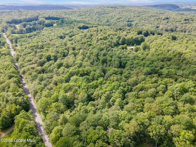 L11 Peraglie Rd, Jefferson, NY 12093 - photo 10