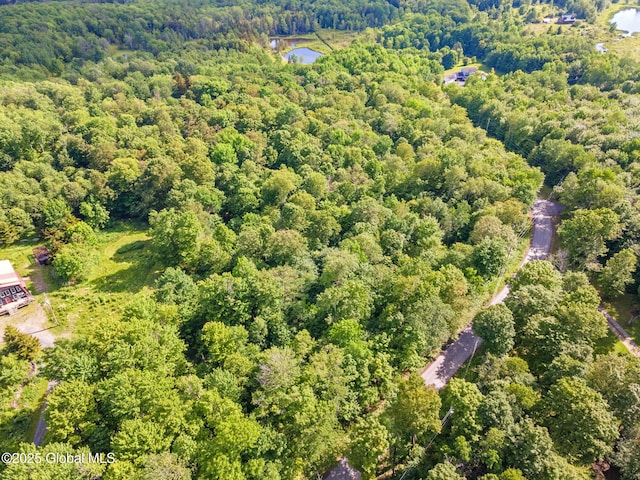 L11 Peraglie Rd, Jefferson, NY 12093 - photo 12