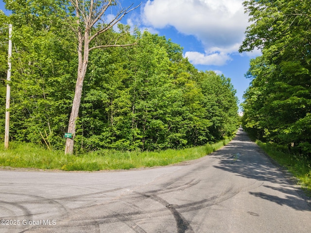 L11 Peraglie Rd, Jefferson, NY 12093 - photo 1