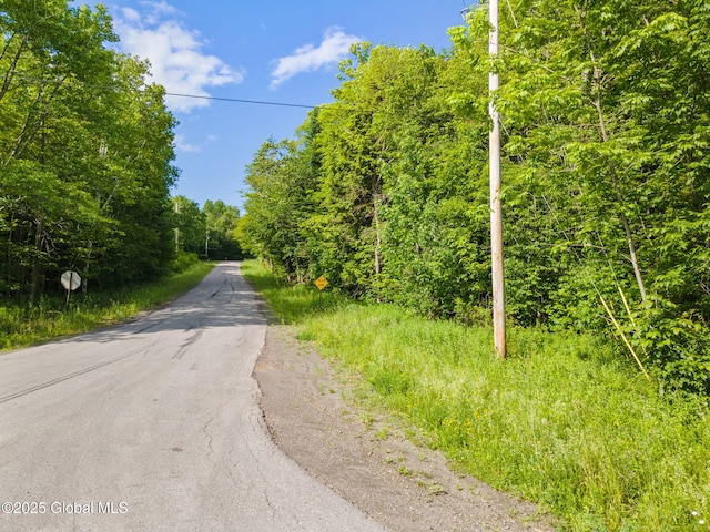 L11 Peraglie Rd, Jefferson, NY 12093 - photo 3