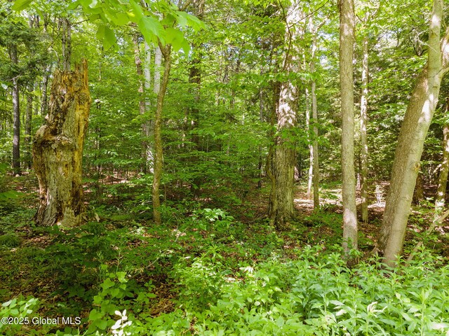 L11 Peraglie Rd, Jefferson, NY 12093 - photo 2