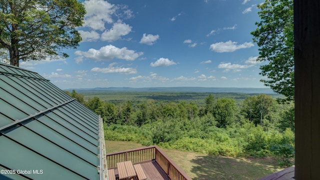 102 Taylor Ct, Mayfield, NY 12117 - view of mountain background featuring a forest