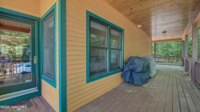 102 Taylor Ct, Mayfield, NY 12117 - view of wooden porch