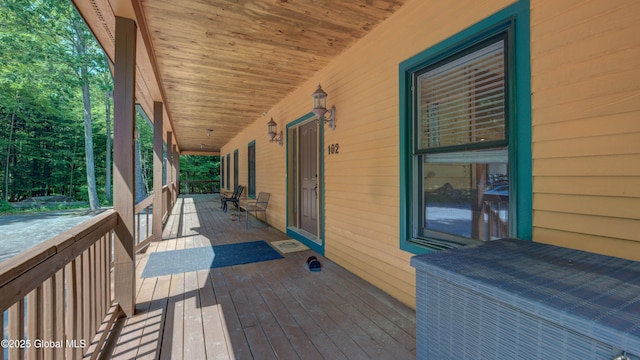 102 Taylor Ct, Mayfield, NY 12117 - view of wooden porch