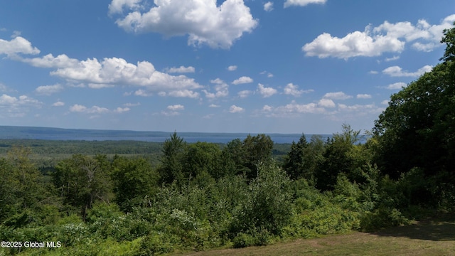 102 Taylor Ct, Mayfield, NY 12117 - water view featuring a heavily wooded area