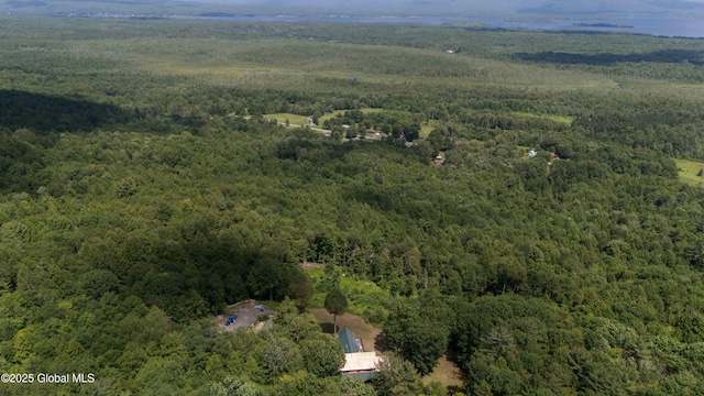 102 Taylor Ct, Mayfield, NY 12117 - aerial view of property's location featuring a forest