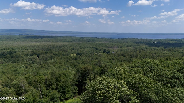 102 Taylor Ct, Mayfield, NY 12117 - drone / aerial view of a heavily wooded area and a large body of water