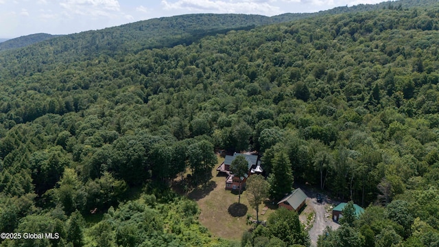 102 Taylor Ct, Mayfield, NY 12117 - aerial view of a forest and a mountain backdrop