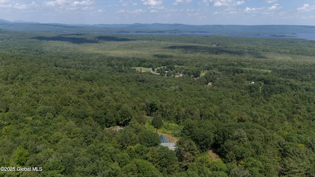 102 Taylor Ct, Mayfield, NY 12117 - bird's eye view of a forest and a mountainous background