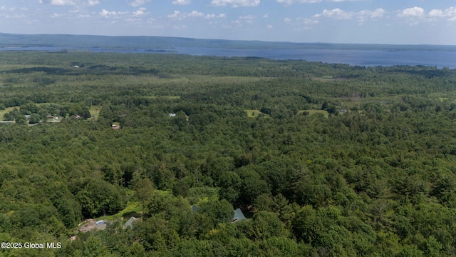 102 Taylor Ct, Mayfield, NY 12117 - bird's eye view of a forest