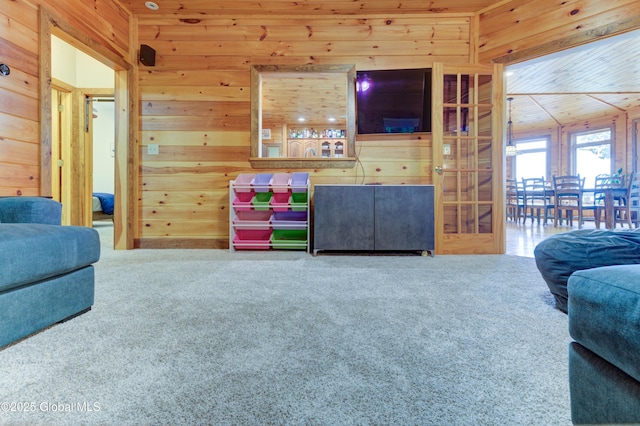 102 Taylor Ct, Mayfield, NY 12117 - living room featuring wooden walls and carpet