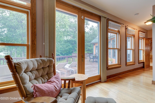 102 Taylor Ct, Mayfield, NY 12117 - entryway featuring light wood-style flooring and plenty of natural light