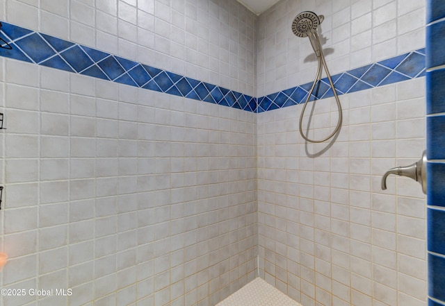 102 Taylor Ct, Mayfield, NY 12117 - bathroom featuring tiled shower