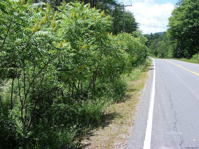 L13 County Highway 123, Mayfield, NY 12117
