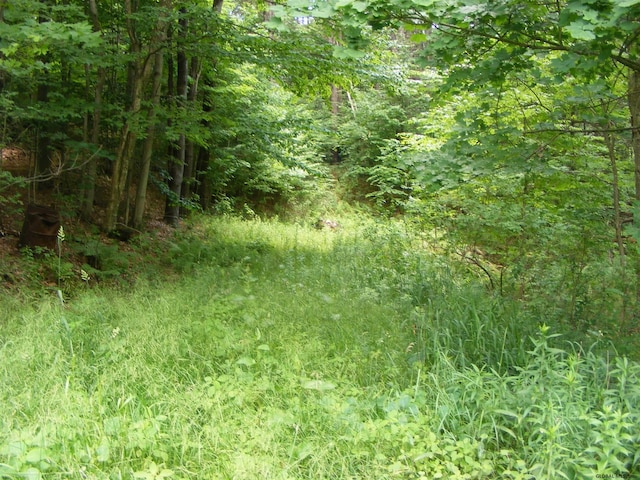 L13 County Highway 123, Mayfield, NY 12117