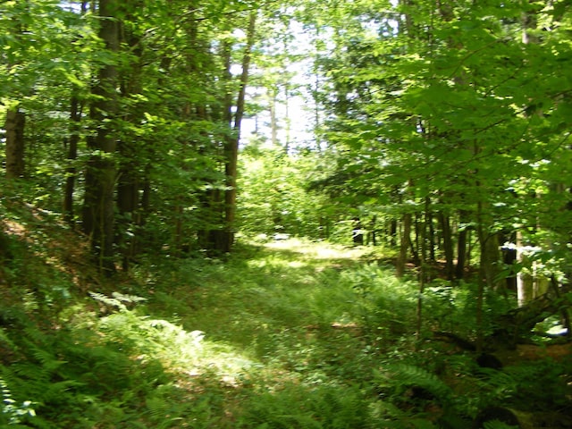 L13 County Highway 123, Mayfield, NY 12117