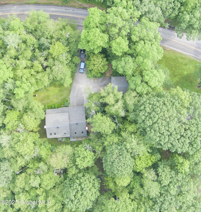 654 Birchwood Dr, Princetown, NY 12056 - aerial view of property's location