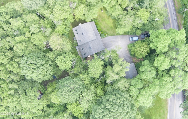 654 Birchwood Dr, Princetown, NY 12056 - aerial view of property and surrounding area