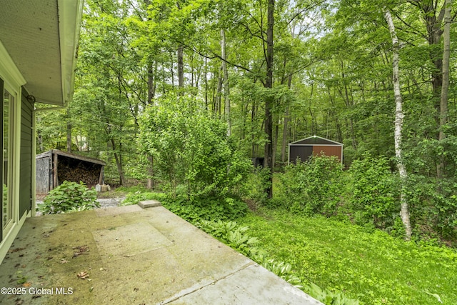 654 Birchwood Dr, Princetown, NY 12056 - view of yard with a patio, a storage unit, and a forest view