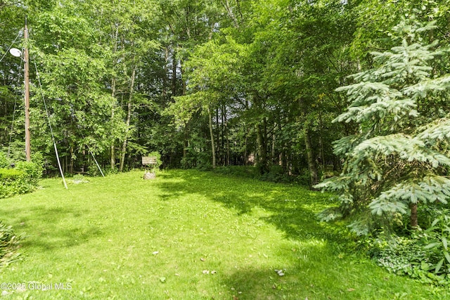 654 Birchwood Dr, Princetown, NY 12056 - view of green lawn