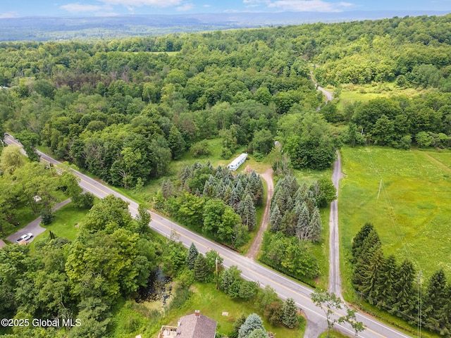 3852 State Route 85, Westerlo, NY 12193 - aerial view of a heavily wooded area