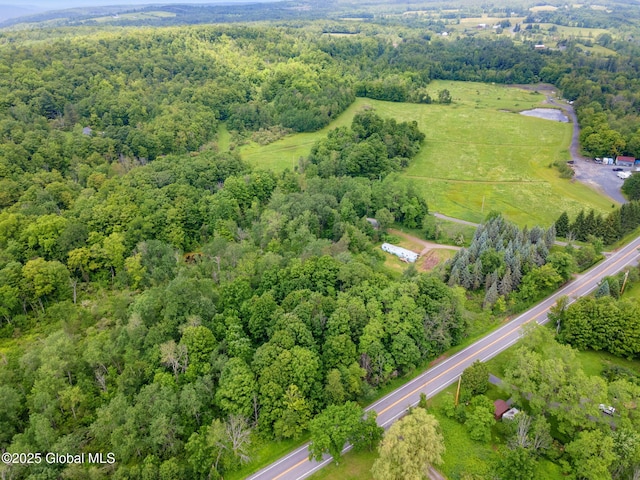 3852 State Route 85, Westerlo, NY 12193 - view of property location with a forest