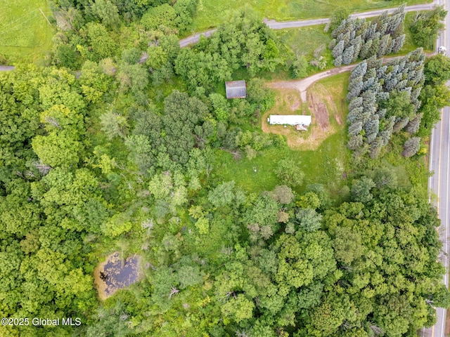 3852 State Route 85, Westerlo, NY 12193 - aerial overview of property's location