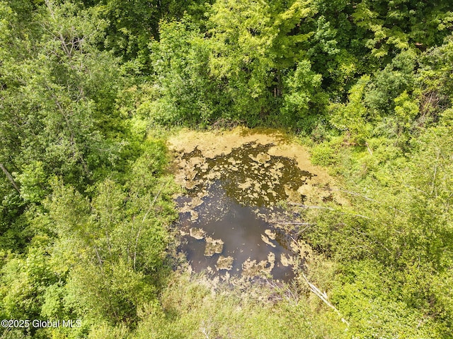 3852 State Route 85, Westerlo, NY 12193 - drone / aerial view