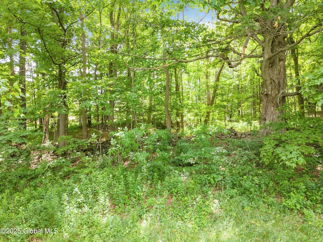 3852 State Route 85, Westerlo, NY 12193 - view of wooded area