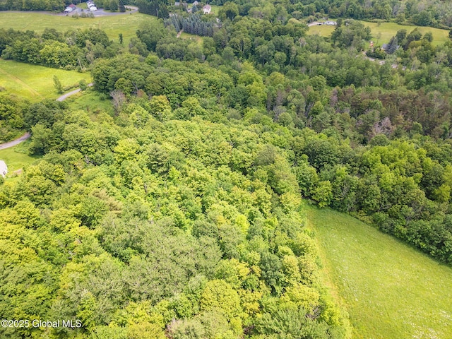 3852 State Route 85, Westerlo, NY 12193 - aerial overview of property's location featuring a heavily wooded area