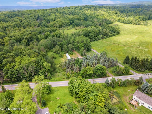 3852 State Route 85, Westerlo, NY 12193 - drone / aerial view of a forest