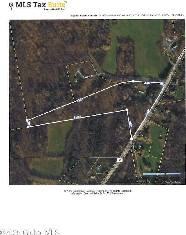 3852 State Route 85, Westerlo, NY 12193 - aerial overview of property's location with property parcel outlined