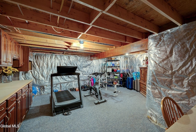 658 Salvia Ln, Guilderland, NY 12303 - exercise room with carpet flooring