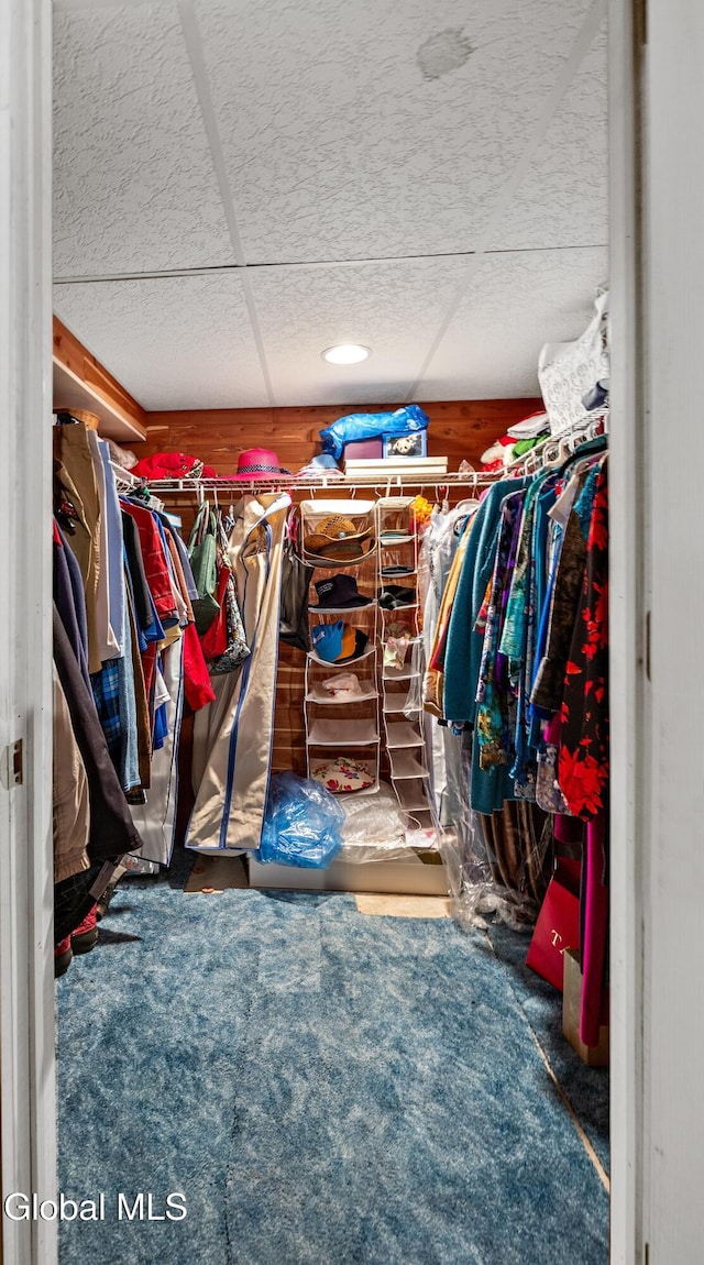 658 Salvia Ln, Guilderland, NY 12303 - walk in closet featuring carpet floors