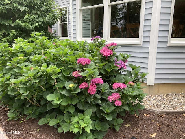 658 Salvia Ln, Guilderland, NY 12303 - exterior view