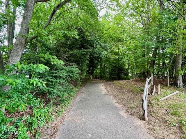 658 Salvia Ln, Guilderland, NY 12303 - view of street featuring a forest view